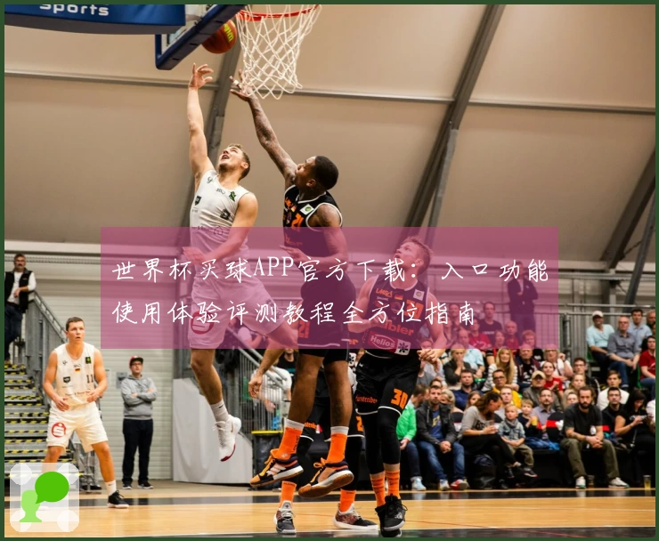 世界杯买球APP官方下载：入口功能使用体验评测教程全方位指南