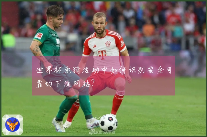 世界杯竞猜活动中如何识别安全可靠的下注网站?