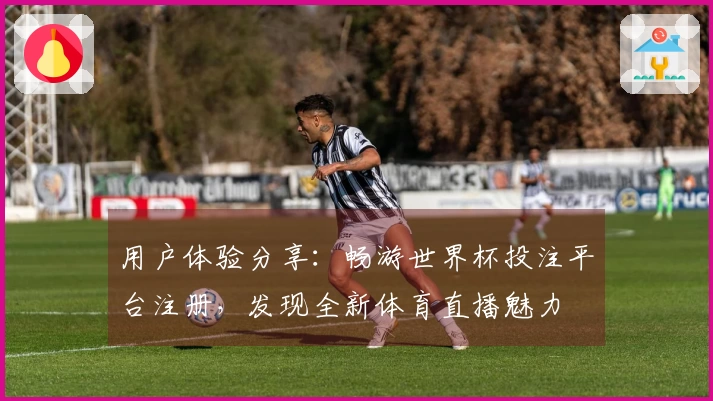用户体验分享：畅游世界杯投注平台注册，发现全新体育直播魅力