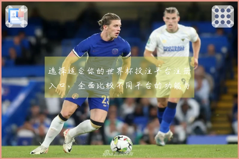 选择适合你的世界杯投注平台注册入口,全面比较不同平台的功能与使用体验