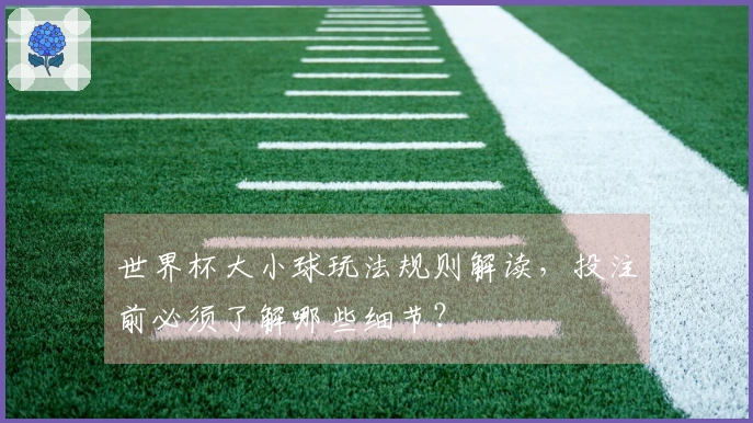 世界杯大小球玩法规则解读，投注前必须了解哪些细节？