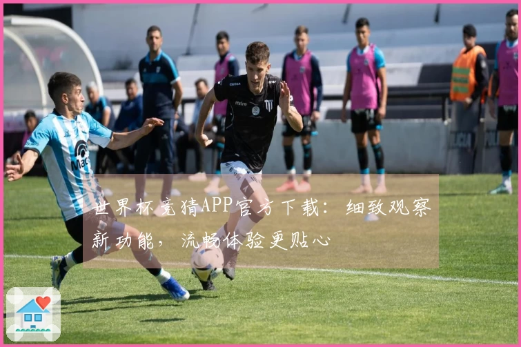 世界杯竞猜APP官方下载：细致观察新功能，流畅体验更贴心