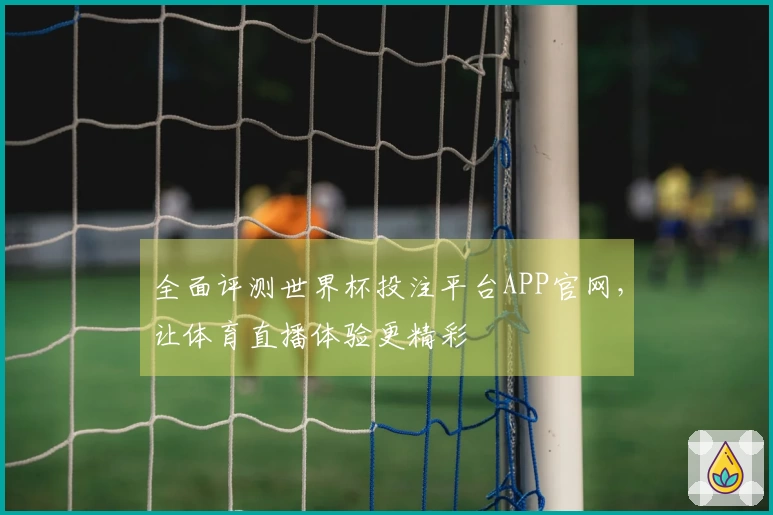 全面评测世界杯投注平台APP官网，让体育直播体验更精彩
