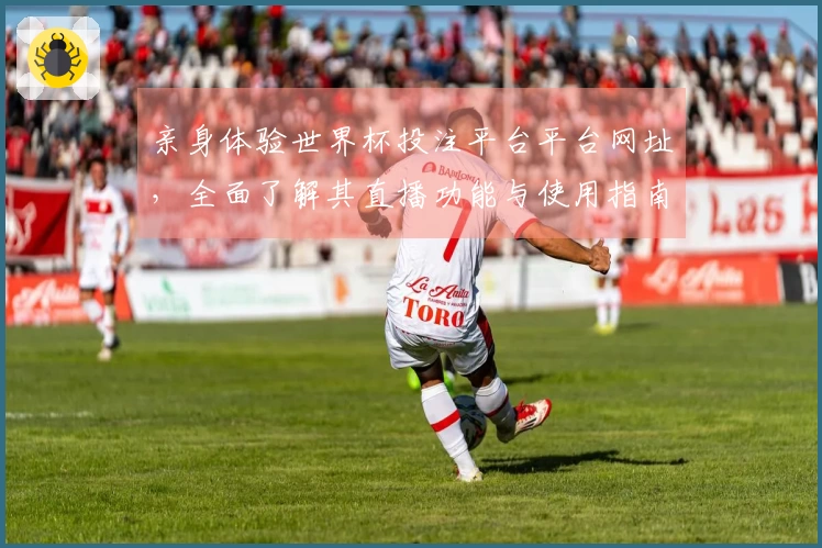 亲身体验世界杯投注平台平台网址，全面了解其直播功能与使用指南