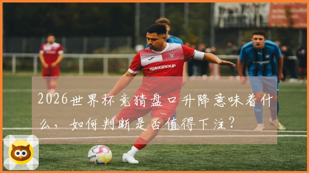 2026世界杯竞猜盘口升降意味着什么，如何判断是否值得下注？