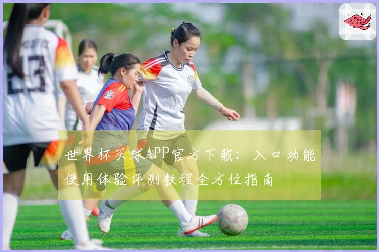 世界杯买球APP官方下载：入口功能使用体验评测教程全方位指南