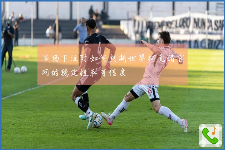 临场下注时如何判断世界杯竞猜官网的稳定性和可信度